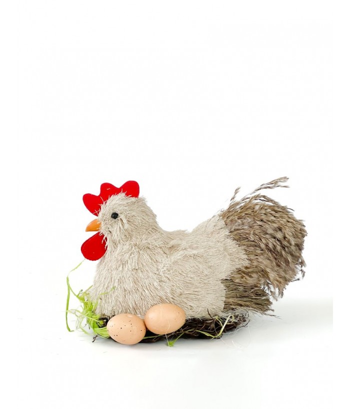 HEN LAYING EGGS