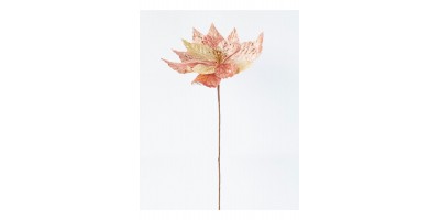 POINSETTIA ROSE GOLD, STEM 30CM 