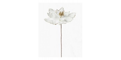 WHITE  POINSETTIA WITH GLITTER EDGE 20CM